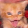 blurbluuee