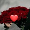 user7238131007668