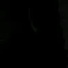 vitoria_reis6