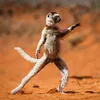 Động Vật 3 Chấm!