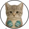 kittenmittens44