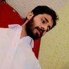 kashmiribulbul8