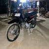 astrea_gembel