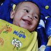 sigemoy.agam