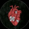 agil_reyfan