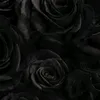luvv4aim33