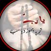 m.qasim823