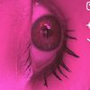 klos_polly