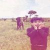 no_more_lee