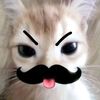 himo_08