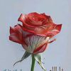 irhaa78601