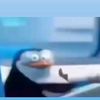 zzim_y0i