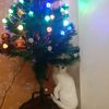 ahmad.nekouri4