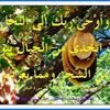 user6252415610436
