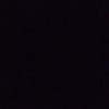 donalbebeck_