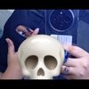 silentdria8