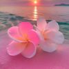 903360fariya0