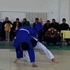 serdarow_55