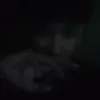 heiwah4