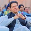 liaqat.ali0491