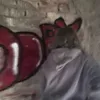 dooljdd