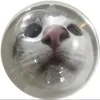 eybysy
