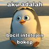 pinguin_botak1