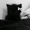 evok_nonlavok2