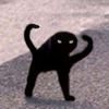 cat.milk75
