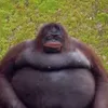 monkeyy688888888