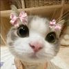 loubna.bdr4
