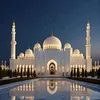 mohd__________arbi