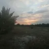 xbak21