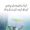 raheel.khan4437