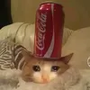 colacankitty