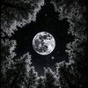 _night26_