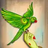 parrotsigma