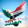 user5250806670570