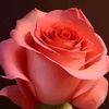 user192067769