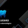 bluebird.dental.center