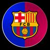 user040138534