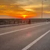 cupin_1705