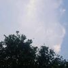 parhutahuta040488