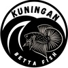 kuningan_betta_fish