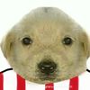 ricardo.alonso790