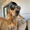 woofmemeking
