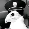 _1_hi6