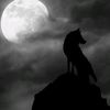 wolflb1