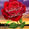 jaliljalil1243