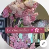 restaurant_le_chamelier_